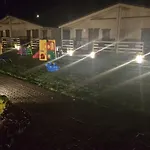 Niezapominajka